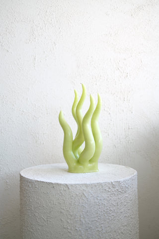 C.D.L. - Citrus Medusa Candle