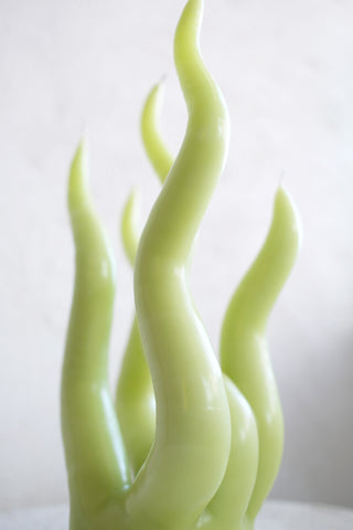C.D.L. - Citrus Medusa Candle