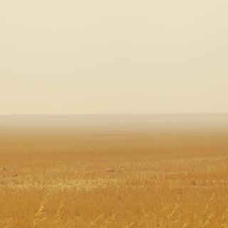PETRICHOR PLAINS PARFUM   -  MIHAN AROMATICS