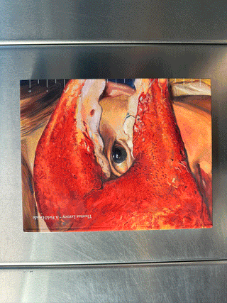 Thomas Lerooy -  A Field Guide